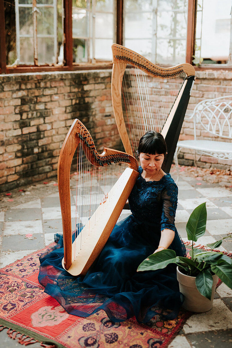 Andrea Cortez, "The Secret Song of Plants"